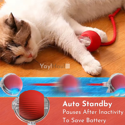 Yay! Haul Smart Cat Ball - Auto-Rolling Interactive Toy