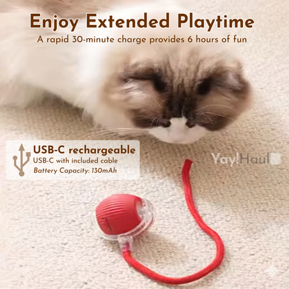 Yay! Haul Smart Cat Ball - Auto-Rolling Interactive Toy
