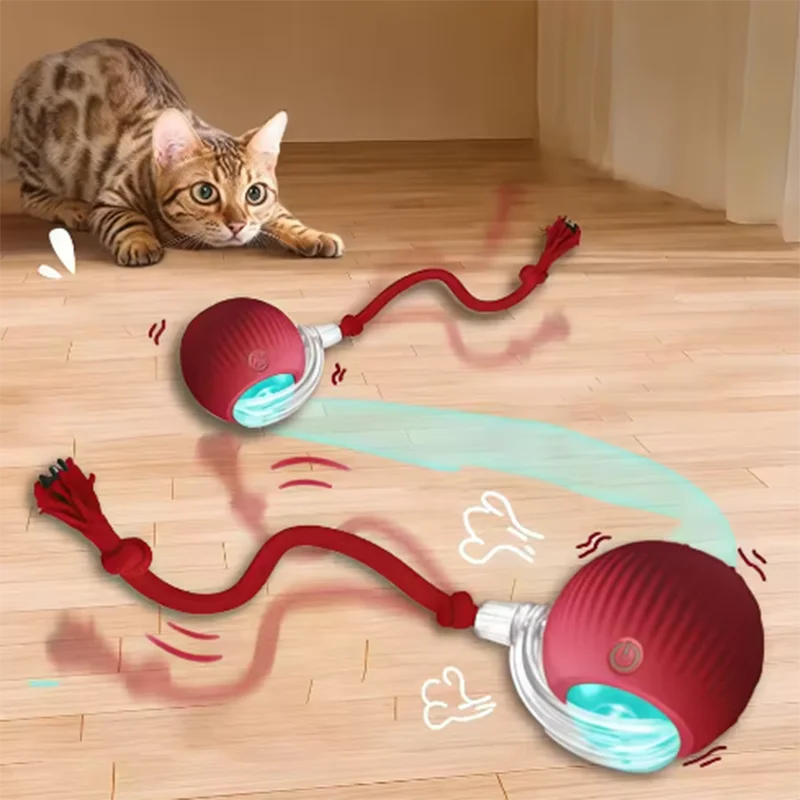 Yay! Haul Smart Cat Ball - Auto-Rolling Interactive Toy
