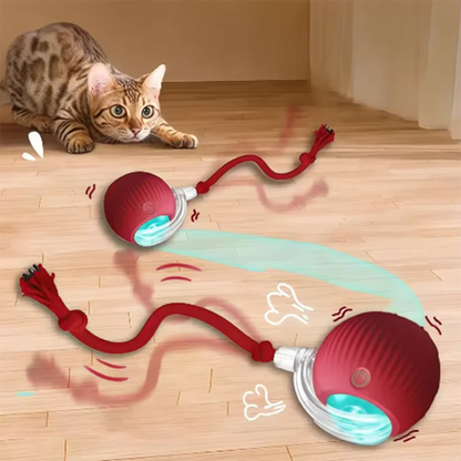 Yay! Haul Smart Cat Ball - Auto-Rolling Interactive Toy