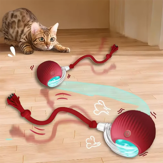 Yay! Smart Cat Ball - Auto-Rolling Interactive Toy