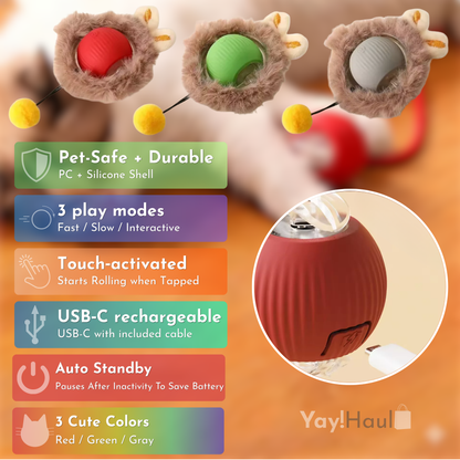 Yay! Haul Smart Cat Ball - Auto-Rolling Interactive Toy