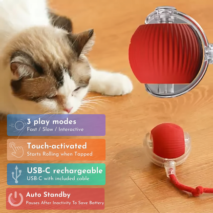 Yay! Haul Smart Cat Ball - Auto-Rolling Interactive Toy